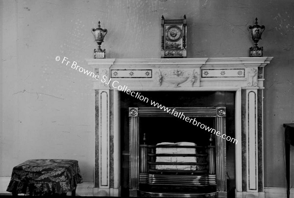 HERBERTSTOWN HOUSE FIREPLACE IN HALL